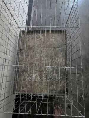 A 2-story thick wire pigeon cage