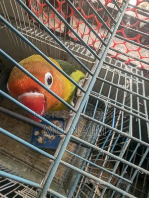 Emergency Sale