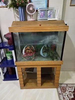 Fish Aquirium
