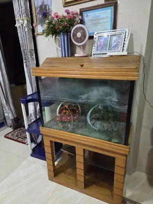 Fish Aquirium