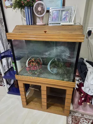 Fish Aquirium