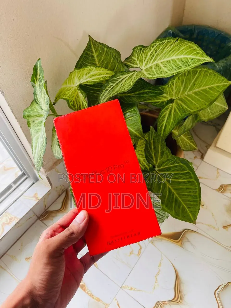 ওয়ানপ্লাস ১০ প্রো ২৫৬ জিবি গ্রিন