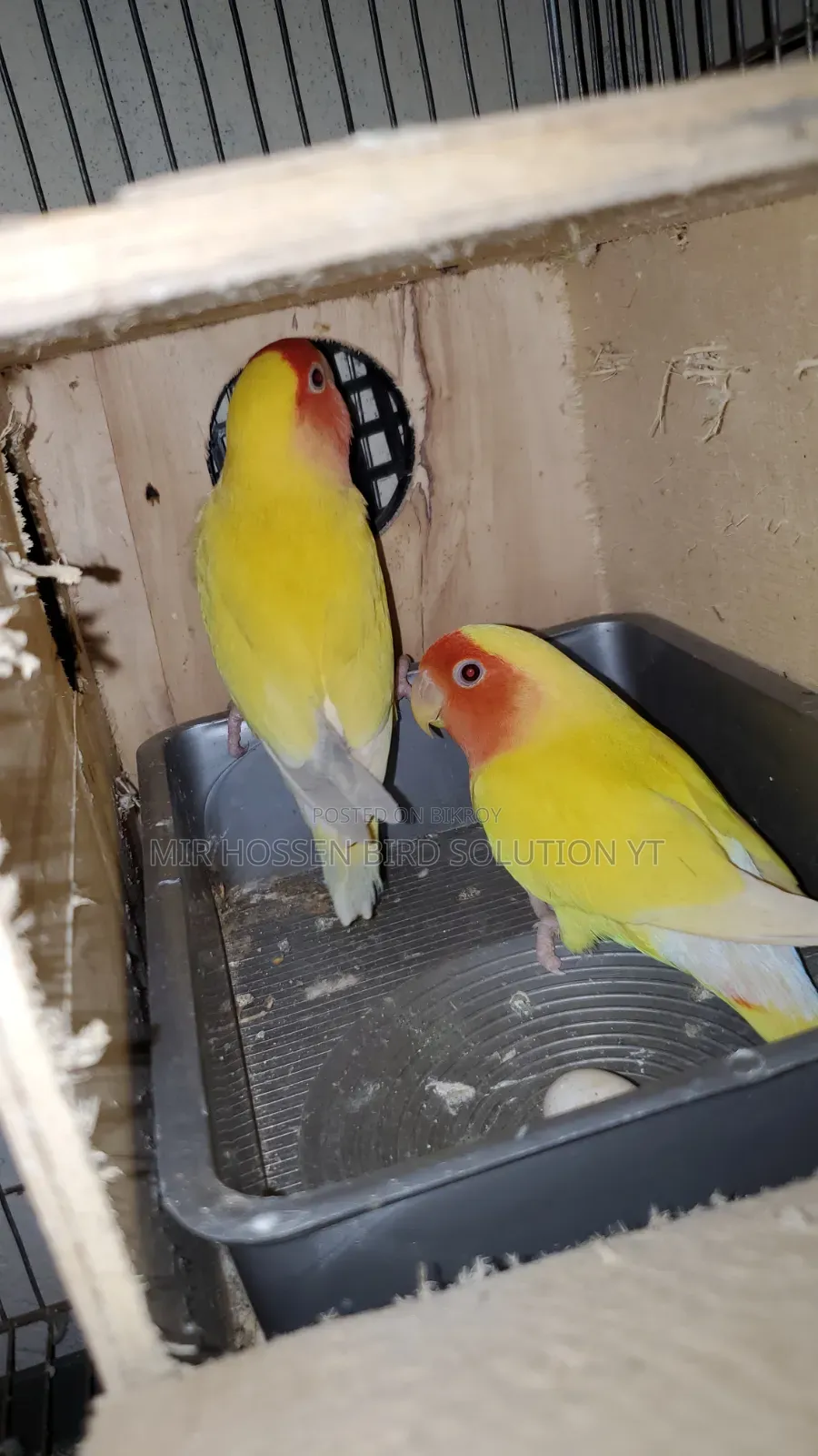 Running Piece Face Pair