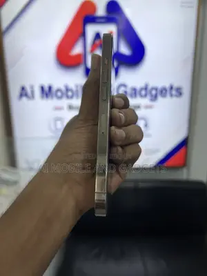 অ্যাপল আইফোন ১৩ প্রো ২৫৬ জিবি গোল্ড