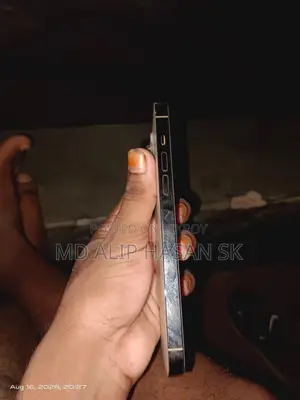 অ্যাপল আইফোন ১৪ প্রো ম্যাক্স ২৫৬ জিবি গোল্ড