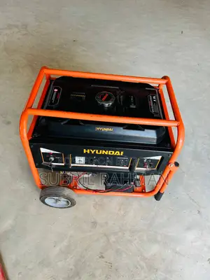 Generator (Dual Fuel)