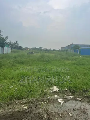 3 Bighas of Vacant Land for Commercial Use Available for Rent