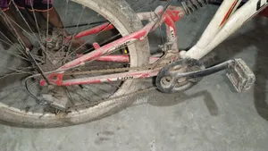 সাইকেলটি খুব ভালো আমি চালিয়েছি