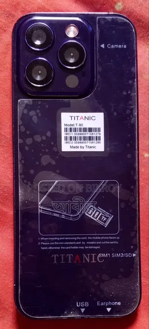 Titanic 4 GB Purple