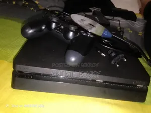 PS4 Slim 500gb Storage