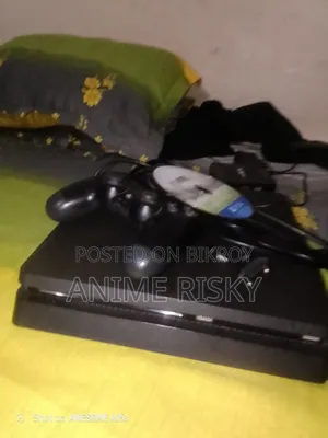 PS4 Slim 500gb Storage