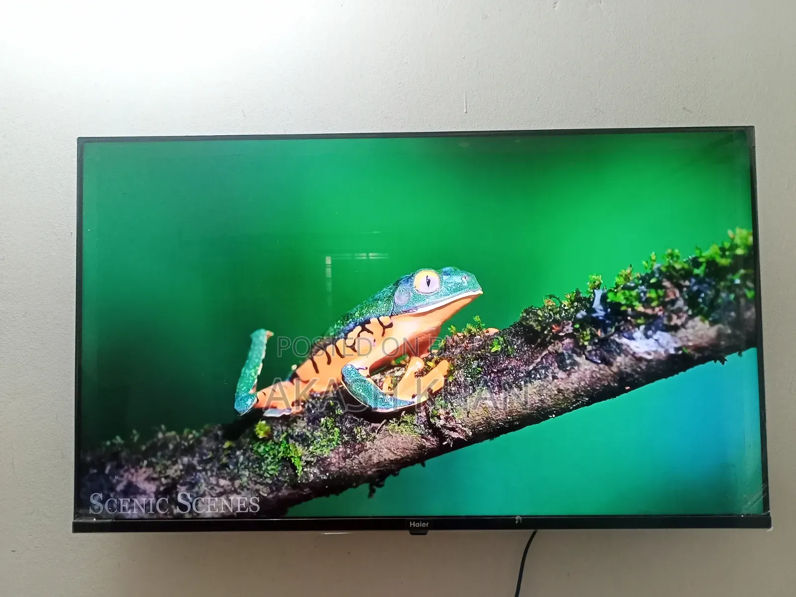 Haier 43" Android TV (With Box)