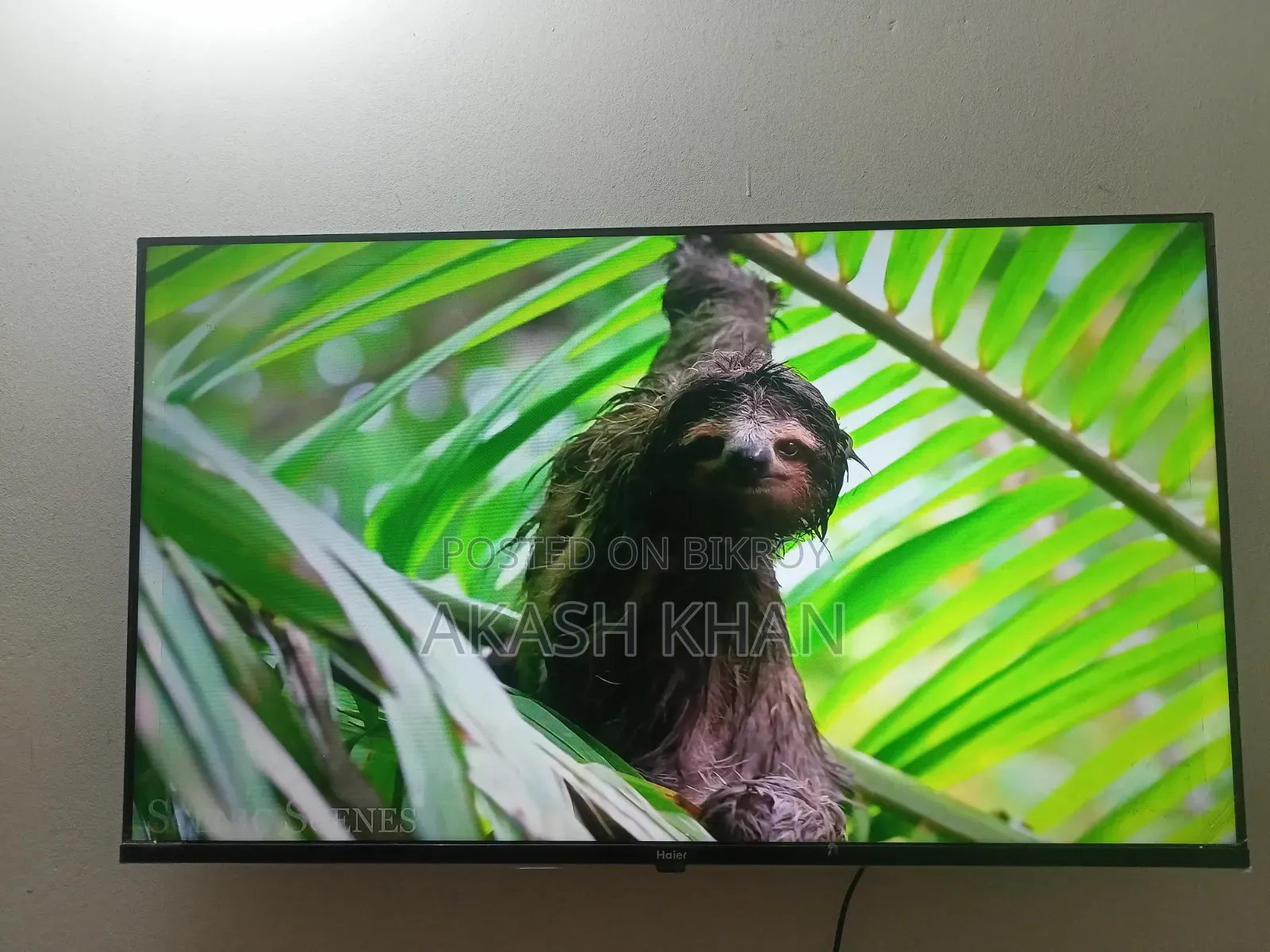Haier 43" Android TV (With Box)