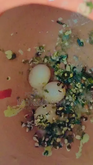 Healthy Pair of Budgies (1.5 Yrs Old) + 3 Eggs Included