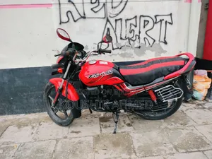 Hero Passion Pro 2010 Red