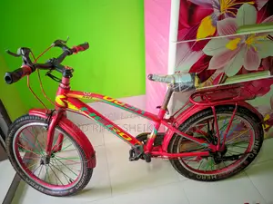 ২০ ইঞ্চি বাচ্চাদের হিরো সাইকেল