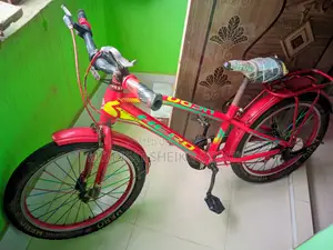 ২০ ইঞ্চি বাচ্চাদের হিরো সাইকেল