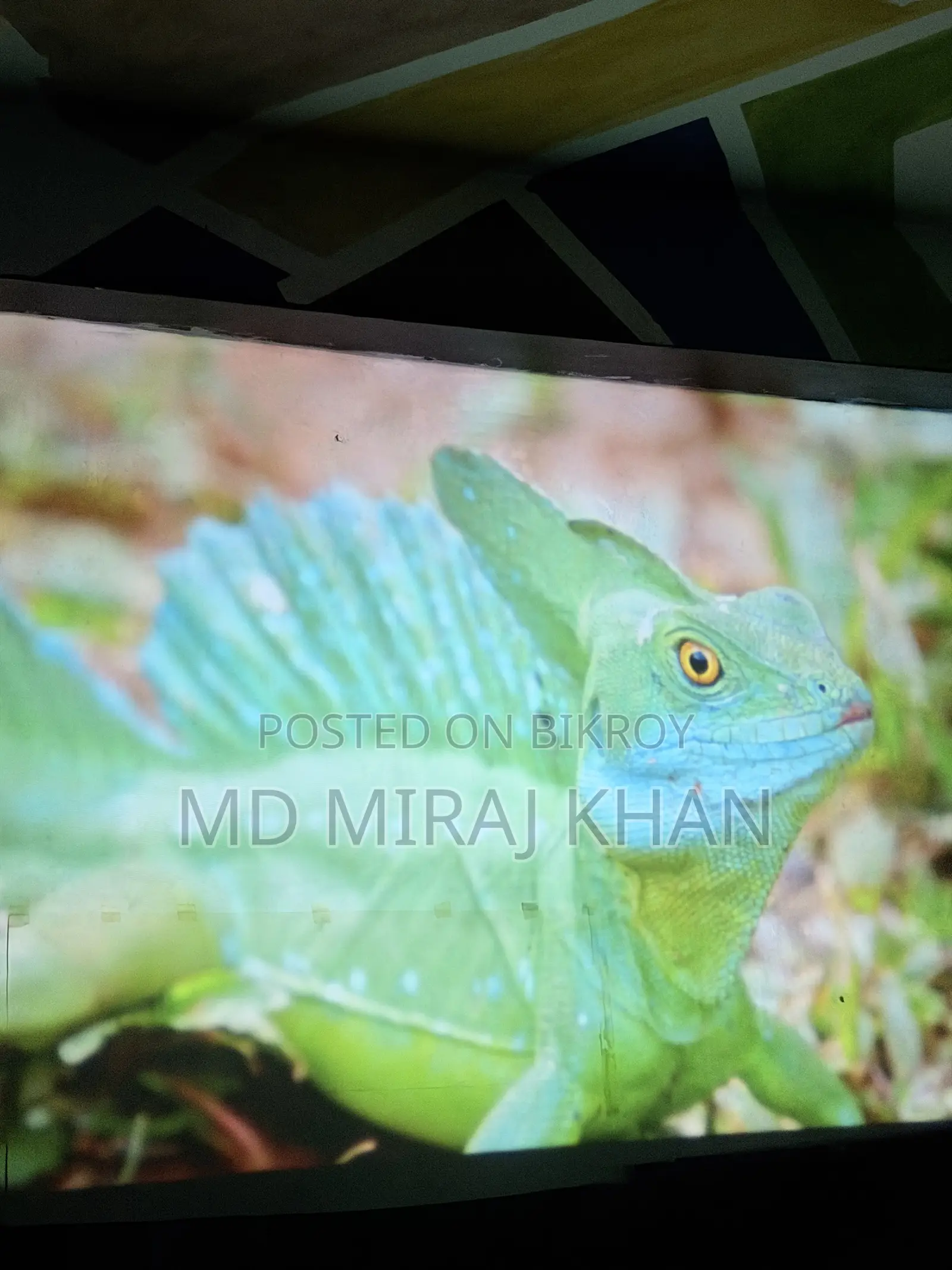 স্মার্ট এইচডি প্রজেক্টর