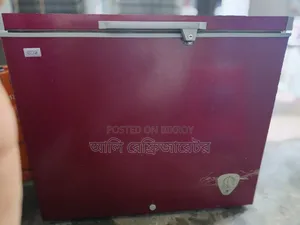 একটি ডিপ ফ্রিজ বিক্রি হবে ইকো প্লাস