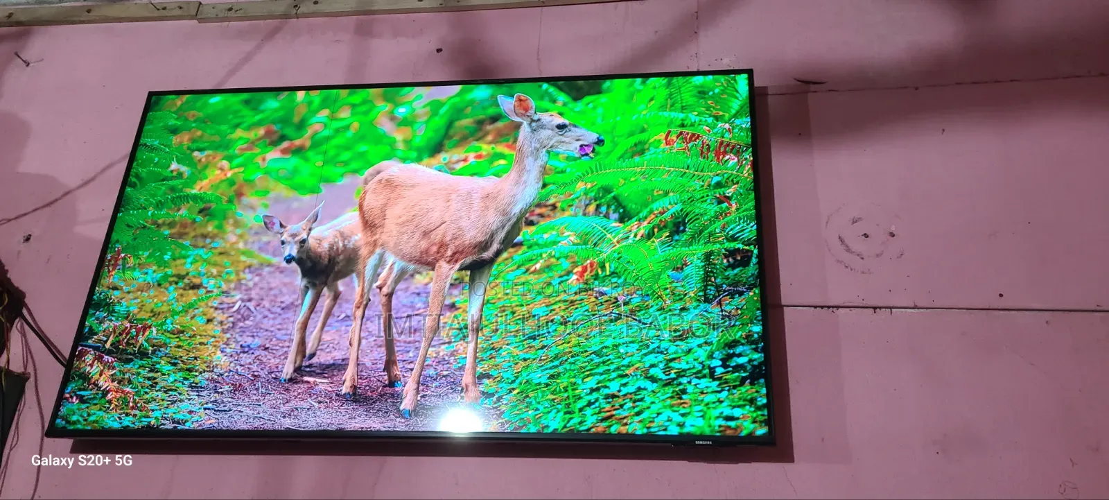Samsung Smart 50 Inch TV