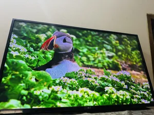 LG Smart Android TV 43 Inch