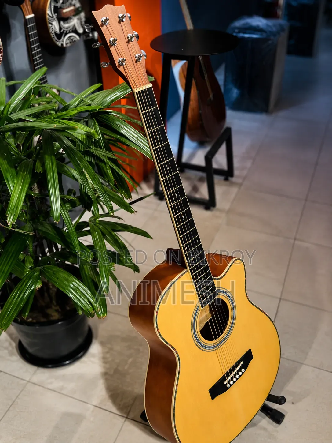 গিটার (কর্ডোবা)