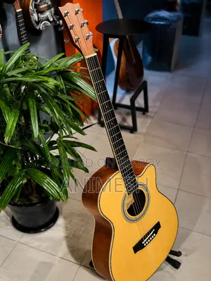 গিটার (কর্ডোবা)
