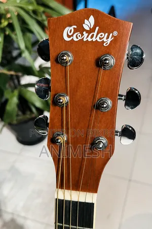 গিটার (কর্ডোবা)