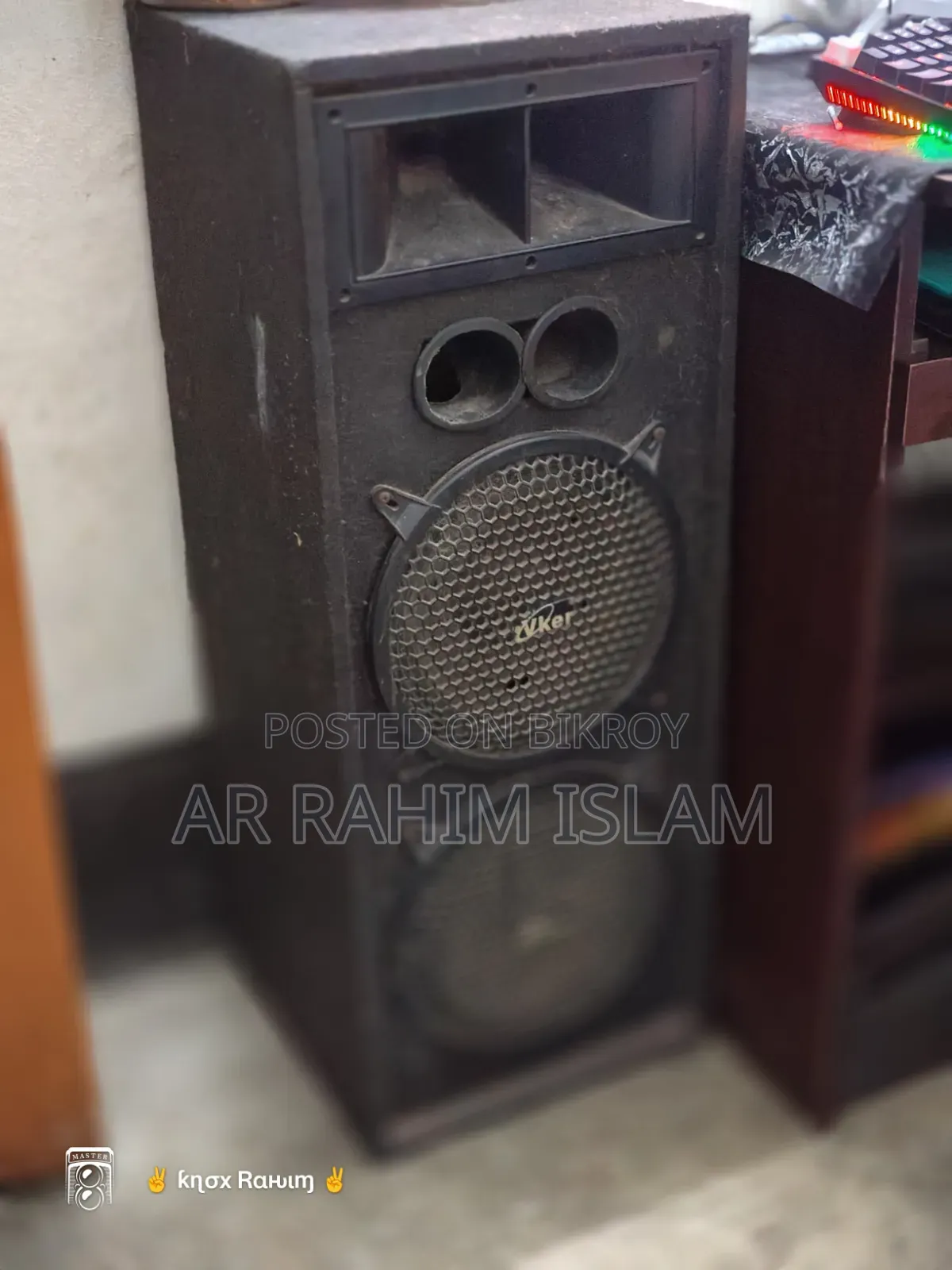 10" Mic, With Amplifyr