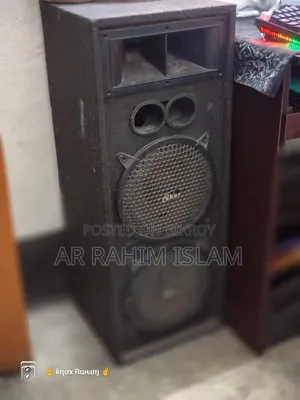10" Mic, With Amplifyr