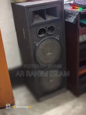 10" Mic, With Amplifyr