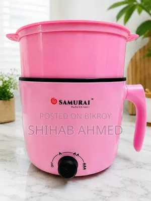 Mini Cooker