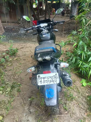Bajaj Pulsar 150 2013 Blue