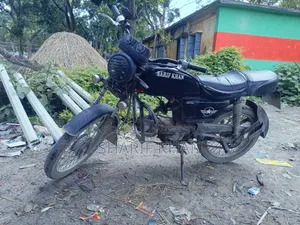 দায়াং ডিওয়াই১০০-এ ২০১৬ রেড