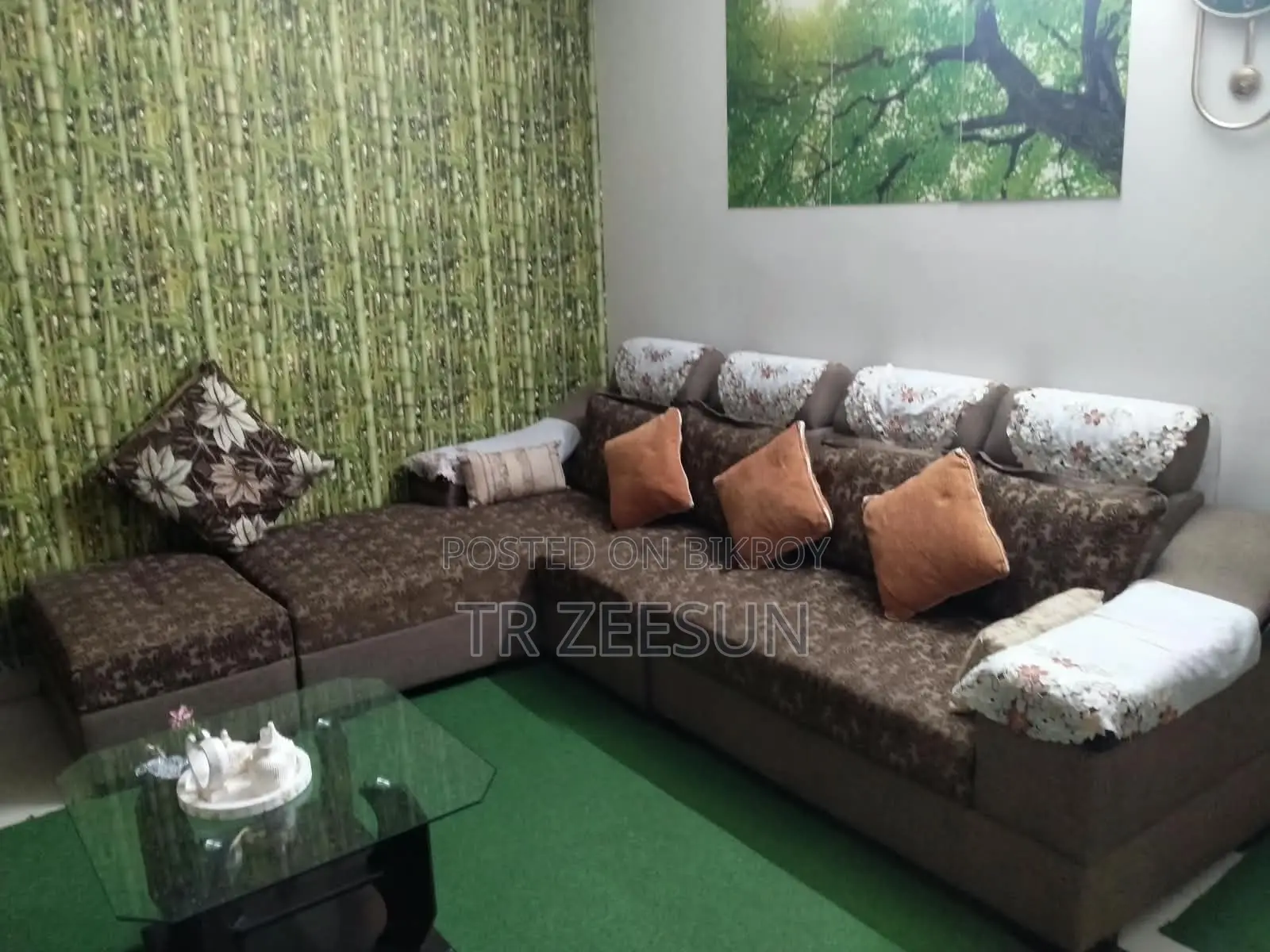 Living Room Sofa
