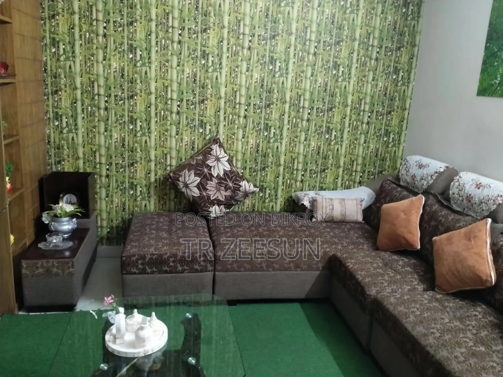 Living Room Sofa