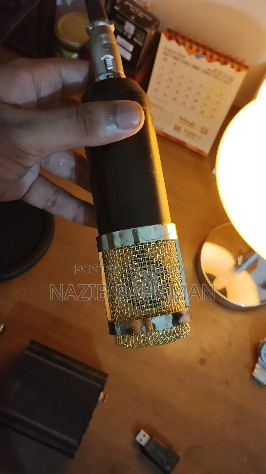 প্রফেশনাল কন্ডেন্সার মাইক্রোফোন