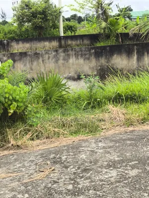 Minimum Price East Face 3 Katha Plot Sale in Sector: 28, Purbachal