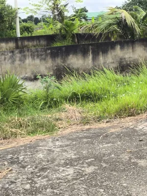 Minimum Price East Face 3 Katha Plot Sale in Sector: 28, Purbachal
