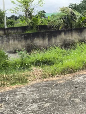 Minimum Price East Face 3 Katha Plot Sale in Sector: 28, Purbachal