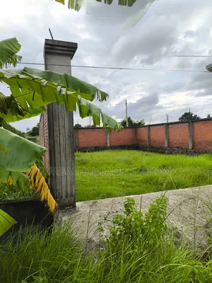Near 150 Ft Road Sector 25, Prime Location 3 Katha Plot, Purbachal