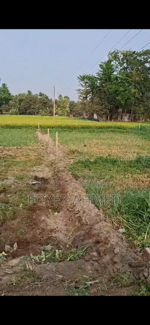 প্রপার্টি সেল ৯.১৫ ফ্রন্ট সাইড