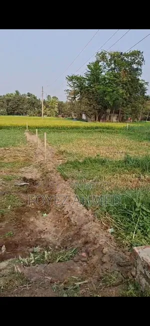 প্রপার্টি সেল ৯.১৫ ফ্রন্ট সাইড