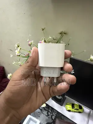 iPhone Charger