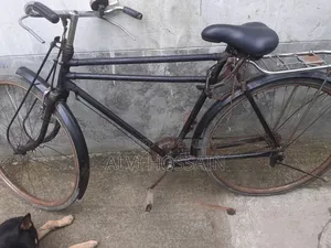China Phoenix Bicycle