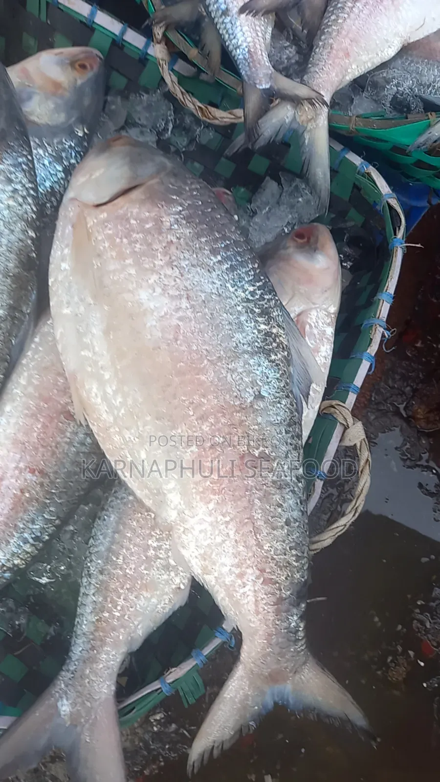 বেস্ট কোয়ালিটি সামুদ্রিক মাছ