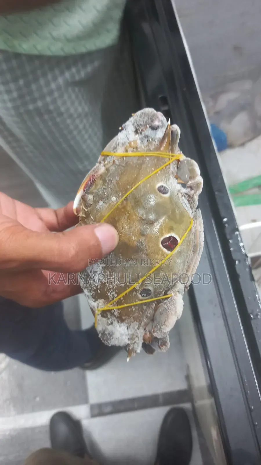 বেস্ট কোয়ালিটি সামুদ্রিক মাছ