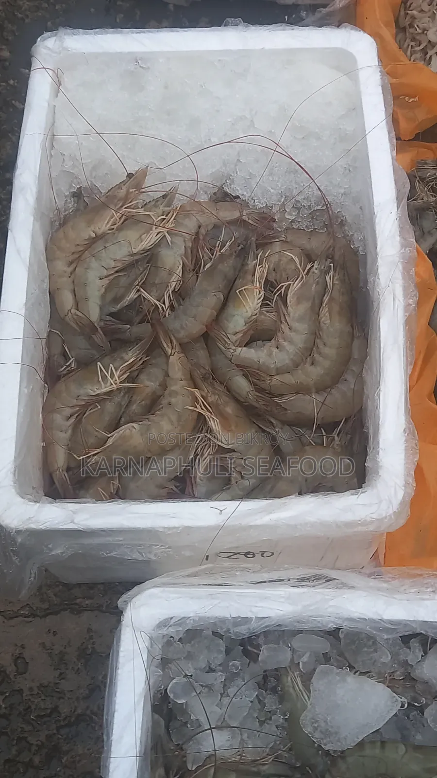 বেস্ট কোয়ালিটি সামুদ্রিক মাছ