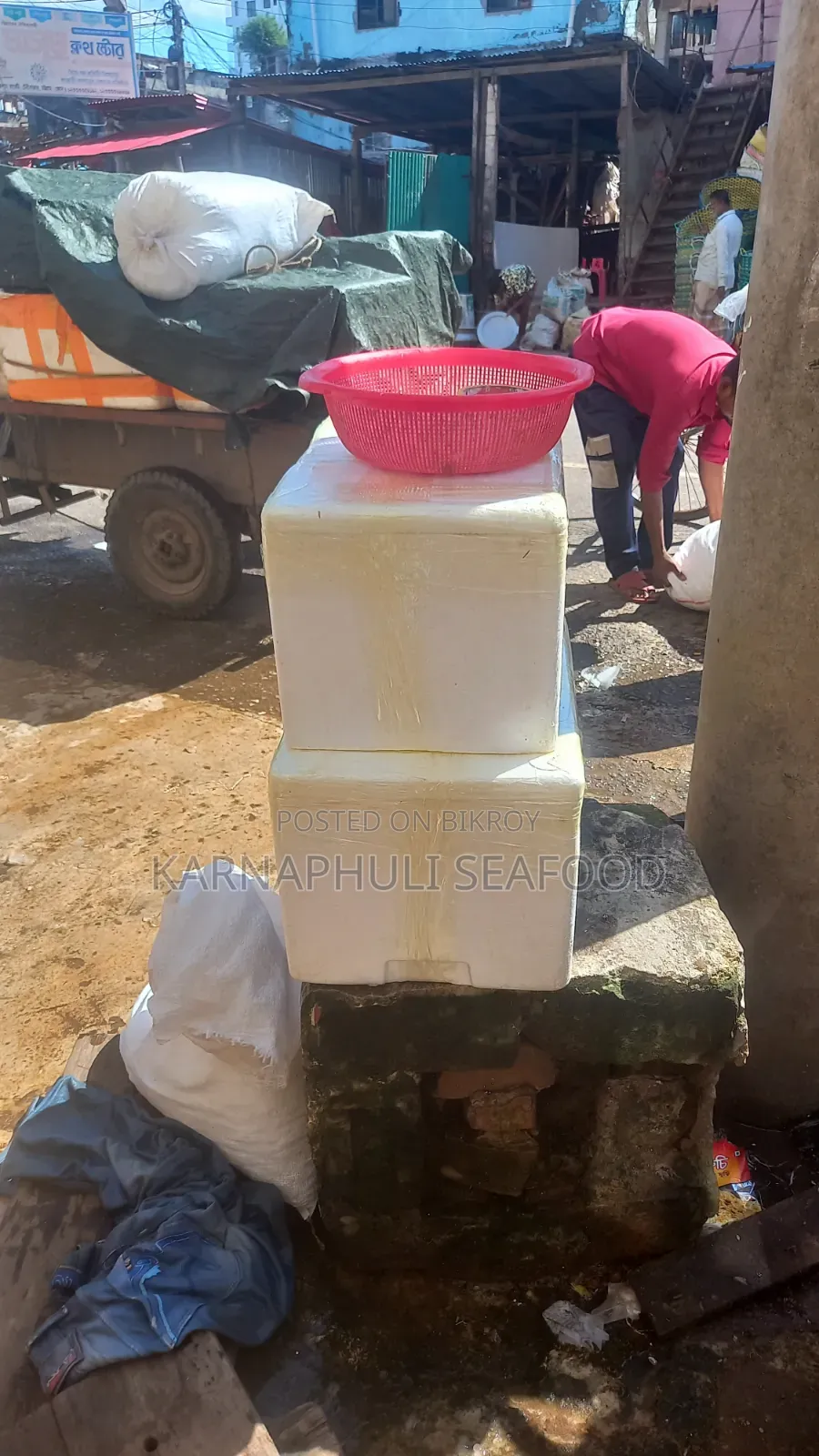 বেস্ট কোয়ালিটি সামুদ্রিক মাছ