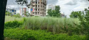 এন ব্লক ৪ কাটা সাউথ ফেসিং প্লট বিক্রির জন্য উপলব্ধ